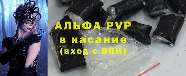 гидра Богородск