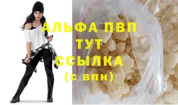 сатива Беломорск