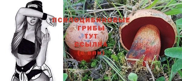 таблы Богородицк