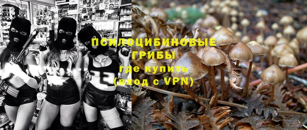 соль курить ск Богданович