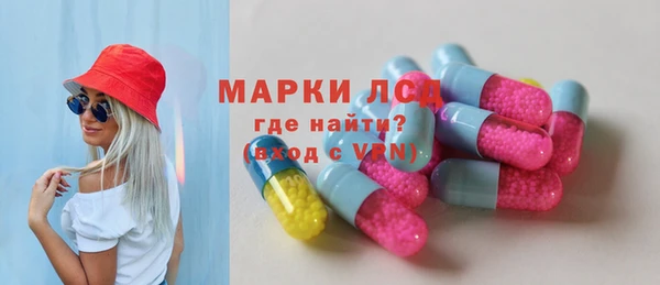 гидра Богородск