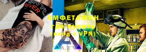 гидра Богородск