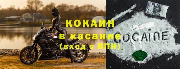 гидра Богородск