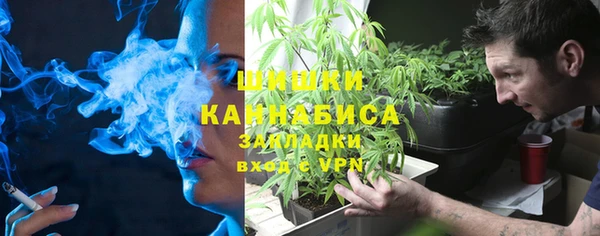 гидра Богородск