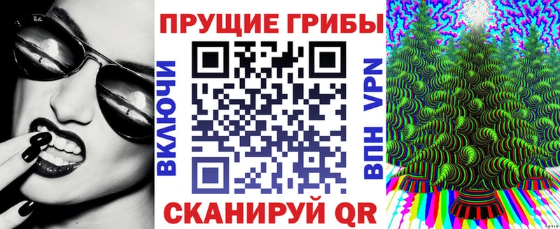 Псилоцибиновые грибы прущие грибы  ОМГ ОМГ зеркало  Белозерск  площадка Telegram  дарнет шоп 